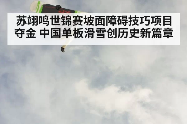苏翊鸣世锦赛坡面障碍技巧项目夺金 中国单板滑雪创历史新篇章