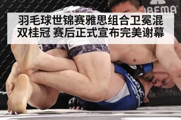 羽毛球世锦赛雅思组合卫冕混双桂冠 赛后正式宣布完美谢幕
